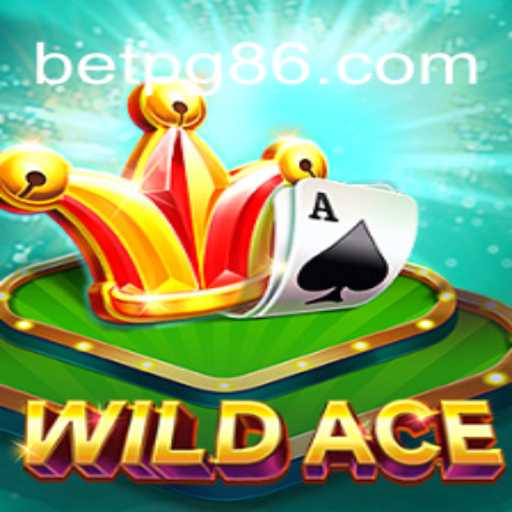 Explorando o Mundo de WildAce: Um Guia Detalhado do Jogo Bet PG